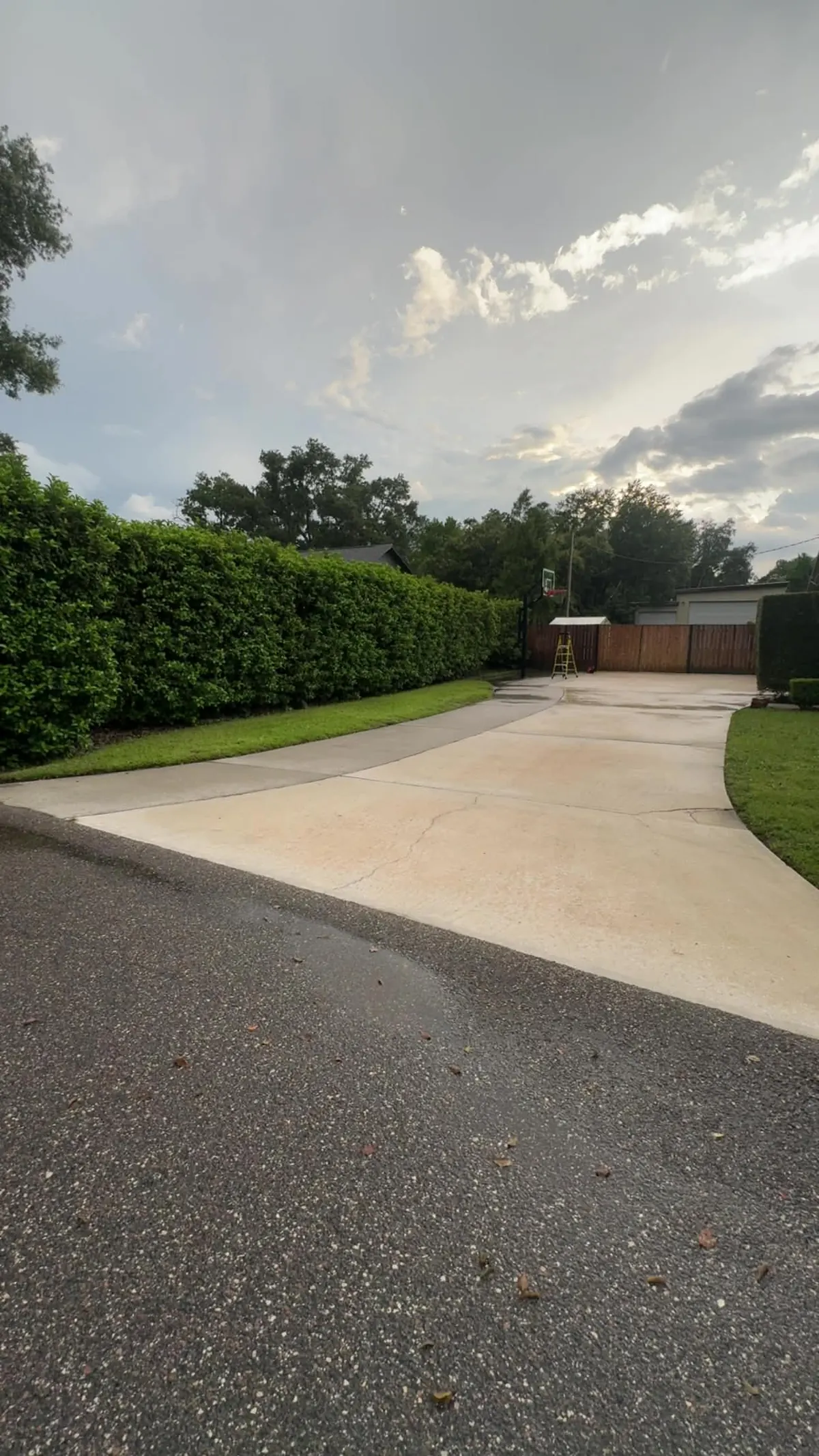 Driveway & Concrete